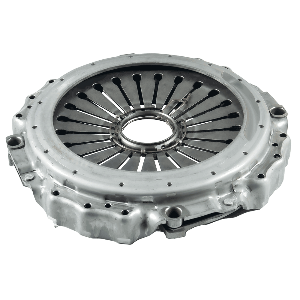 020113	موسم ابو حبه مسدريس